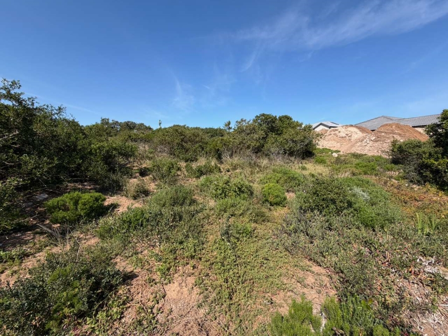 0 Bedroom Property for Sale in Reebok Western Cape